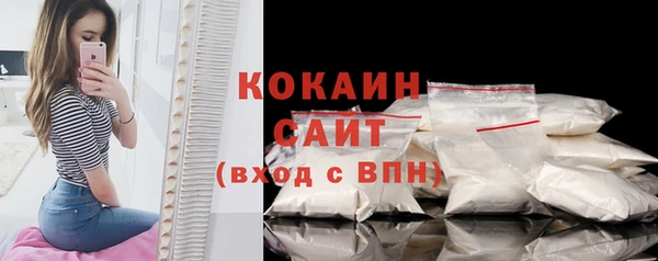 прущие грибы Аркадак
