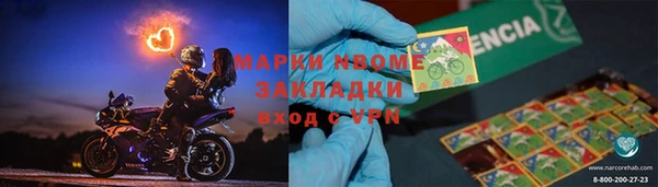 прущие грибы Аркадак