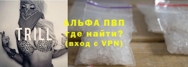 прущие грибы Аркадак