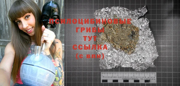 прущие грибы Аркадак