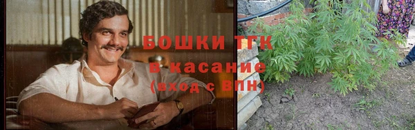 прущие грибы Аркадак
