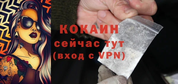твердый Покачи