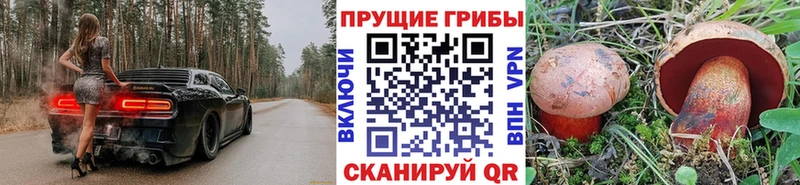 блэк спрут ССЫЛКА  Терек  Псилоцибиновые грибы Psilocybe 